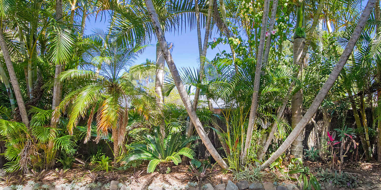 1/11 Culgoa Street Sunshine Beach