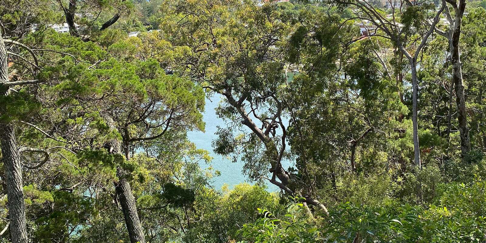 25/2 Serenity Close Noosa Heads