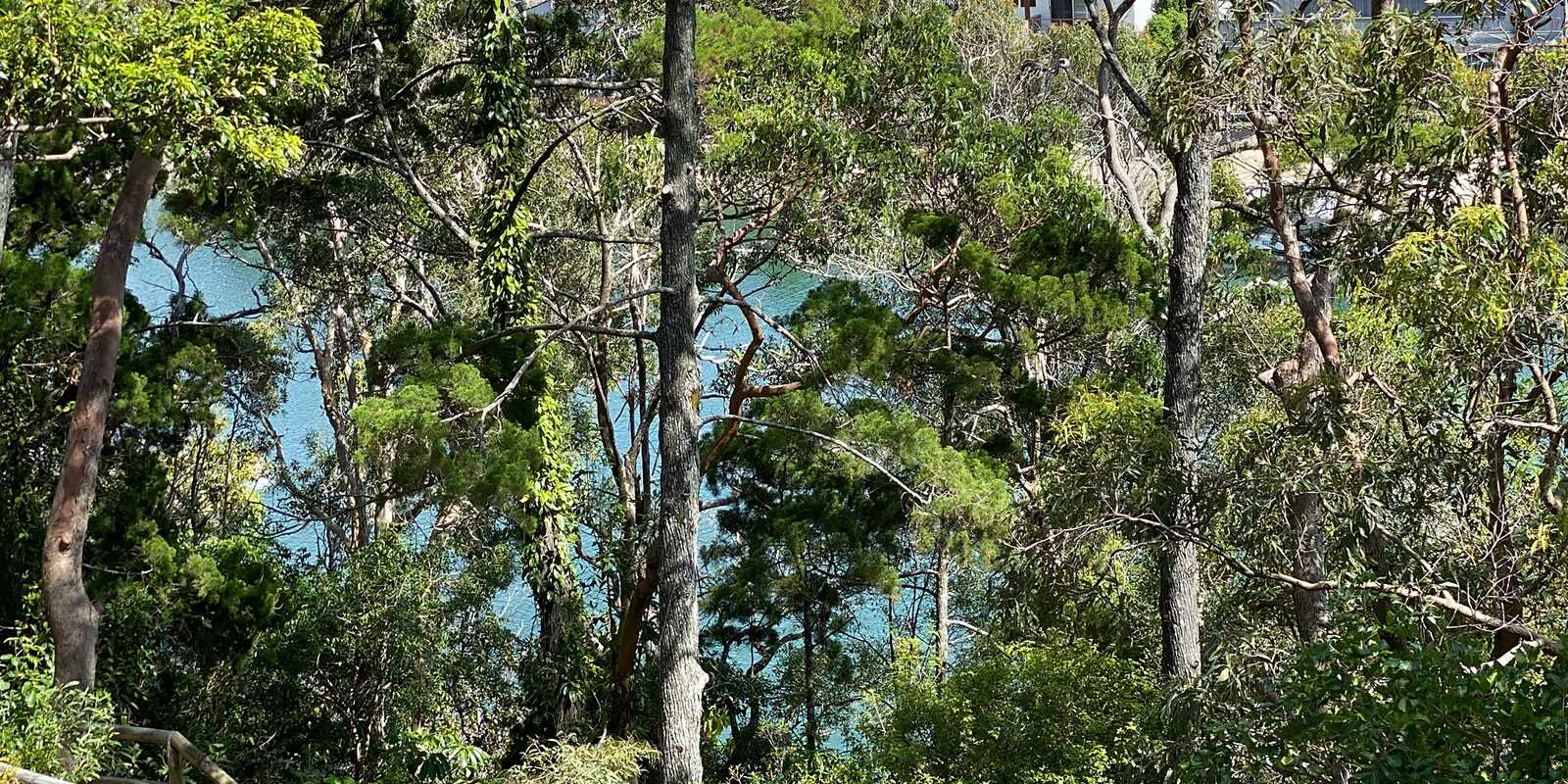 25/2 Serenity Close Noosa Heads